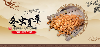 古风养生促销海报