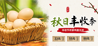 秋日丰收季中国农民丰收节鸡蛋促销电商海报