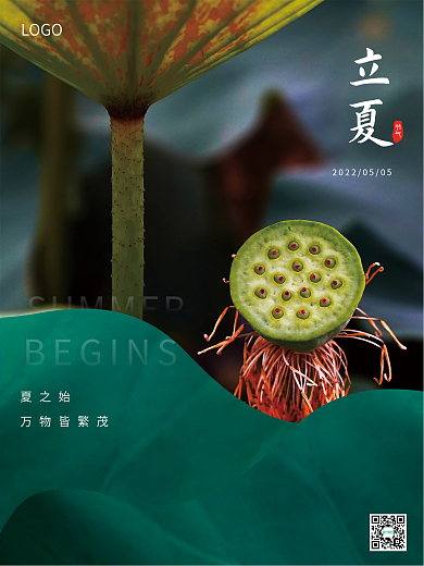 简约夏天立夏节气二十四节气立夏海报