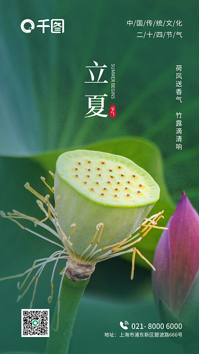 小暑夏至地址二十四节气地产二十四节气海报