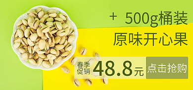美食坚果488春季绿色黄色原味促销