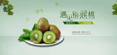 创意水果甜蜜多汁口感细腻猕猴桃海报