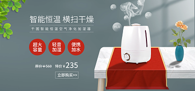 淘宝简约立即购买原价加湿器海报