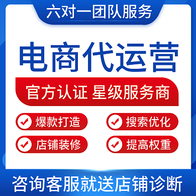代运营爆款打造搜索优化服务主图