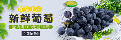 新鲜葡萄新品上市立即抢购》电商外卖店铺店招主图
