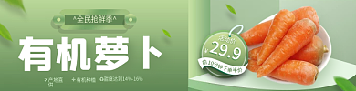 外卖食品全民抢鲜季有机萝卜蔬菜店招banner标签