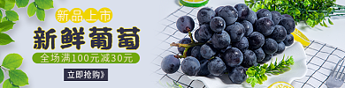 新鲜葡萄新鲜葡萄新品上市电商外卖店铺店招主图