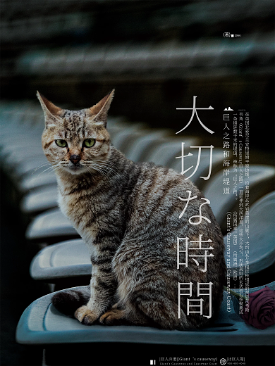 电影影视大切な時間韦角摄影动物猫咪日式商业海报