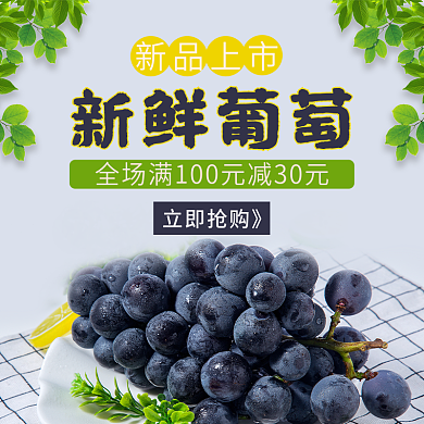 新鲜葡萄新鲜葡萄新品上市电商外卖店铺店招主图
