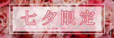 七夕鲜花送货上门玫瑰