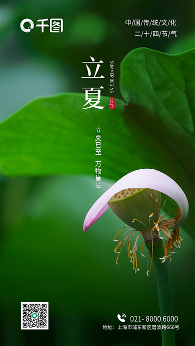 小暑立夏地产中国传统节日二十四节气海报