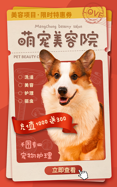 宠物用品美容立即查看美容项目海报