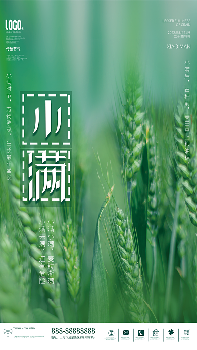 简约创意传统节气小满摄影麦子小满节气海报