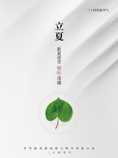 立夏节气绿叶白色创意海报