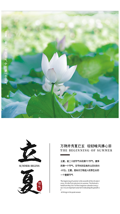 立夏节气海报传统24节气立夏海报