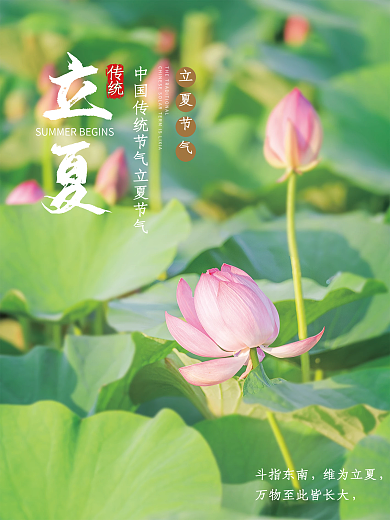 简约绿色斗指东南维为立夏四节气节海报