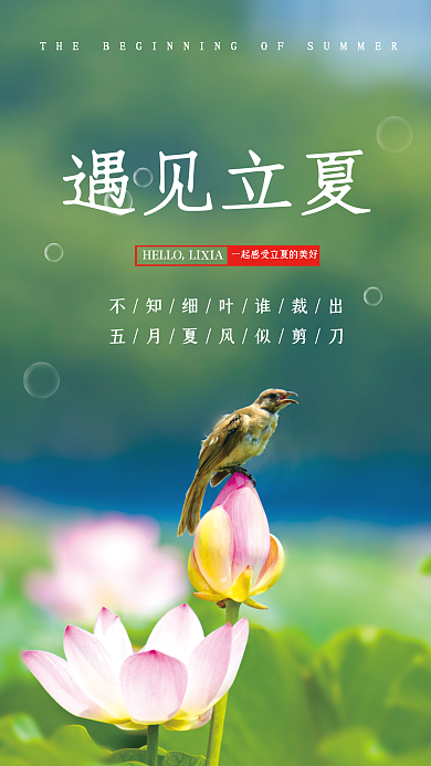 简约大气遇见立夏节气海报