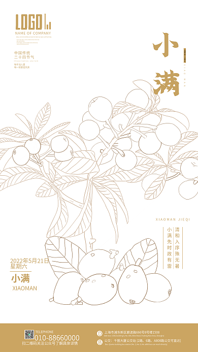 线条风中国传统二十四节气小满节日宣传海报