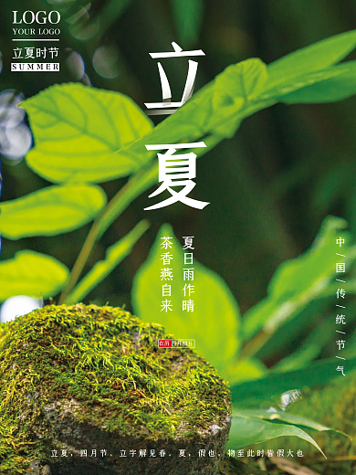 中国传统节气夏日雨作晴茶香燕自来