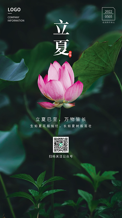 立夏夏至荷叶绿色二十四节气海报