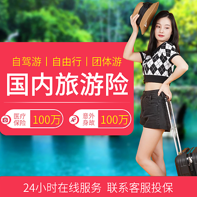 旅游险国内旅游险100万淘宝店铺主图
