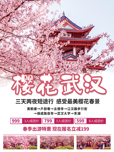 武汉春季5998人成团价赏花踏青旅游海报