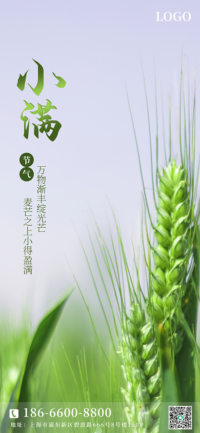 二十四节气小满LOGO地址海报pro