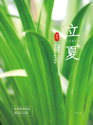 简约绿色立夏LIXIA四节气节海报
