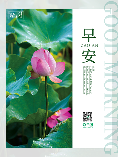 早安立夏小暑小满荷花小清新文艺朋友圈海报