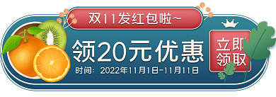 双十一小清新时间立即活动胶囊banner