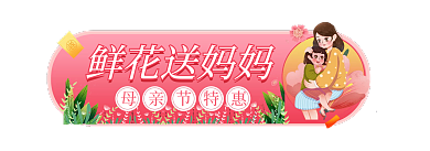 粉色温馨鲜花送妈妈母亲节特惠促销活动胶囊入口图海报