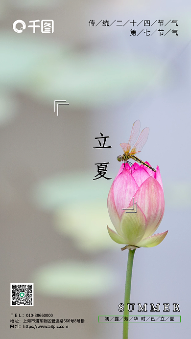 简约清新立夏　　传海报