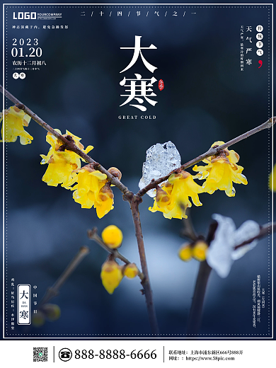 简约中国传统大寒冬季节气系列之大寒宣传海报