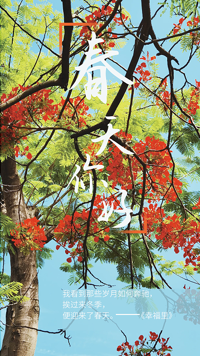 春天简约挨过来冬季《幸福里》摄影图海报