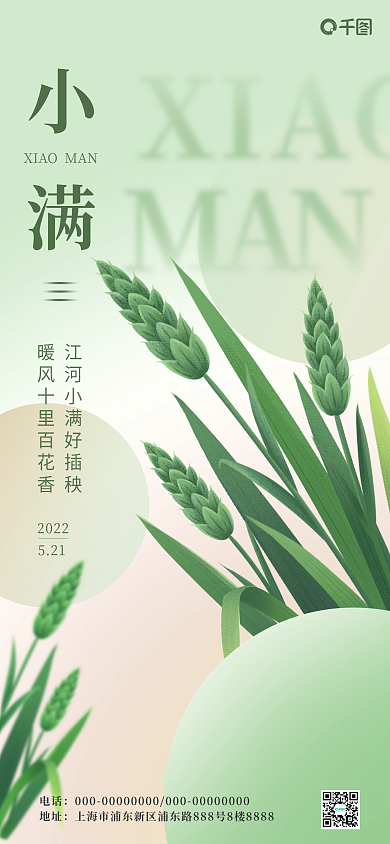 小满炫彩创意节气简约手机海报