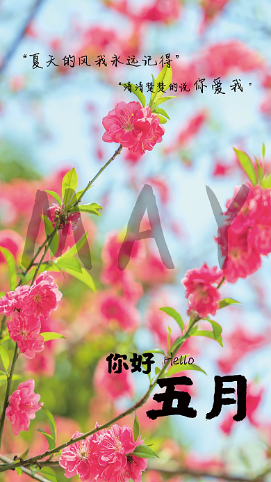 你好五月五月Hello海报摄影图