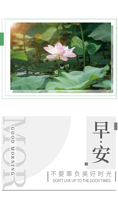 简约小清新MOR早安海报