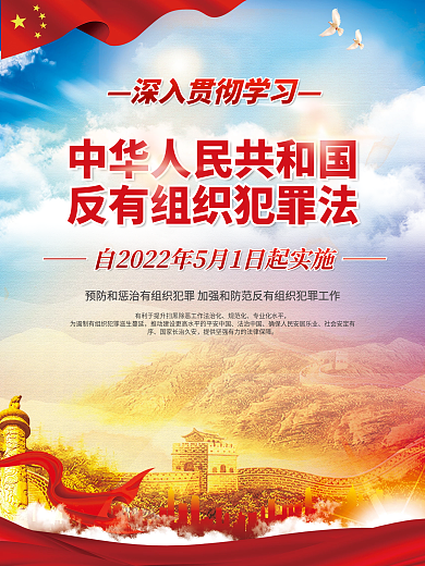 反有组织规范化专业化水平犯罪法宣传