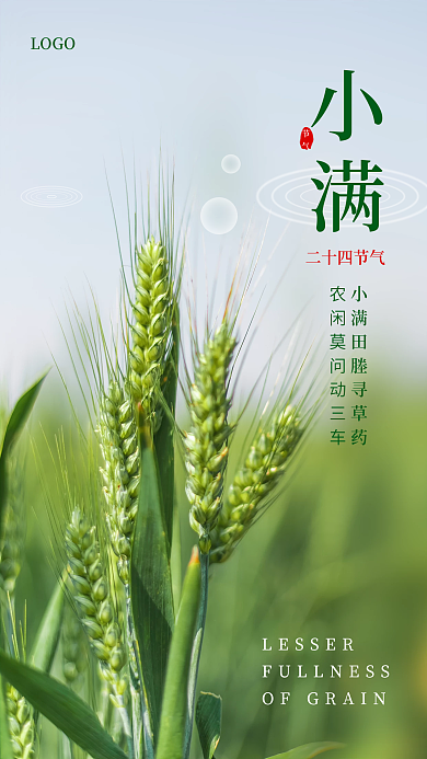 简约摄影图小满二十四节气海报