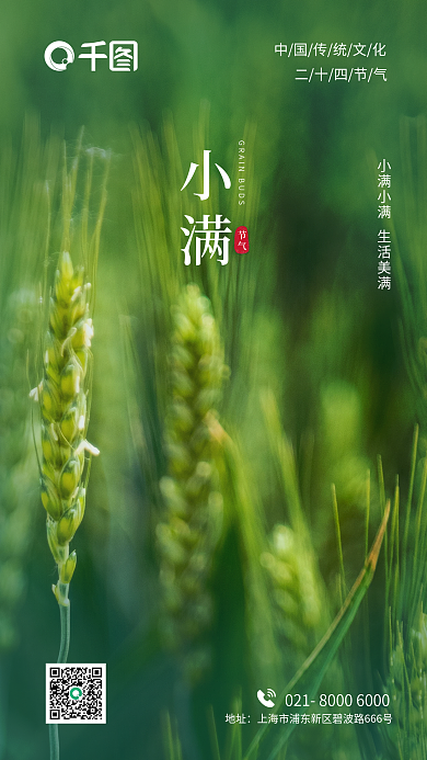 小满夏至中国传统节日二十四节气地产海报