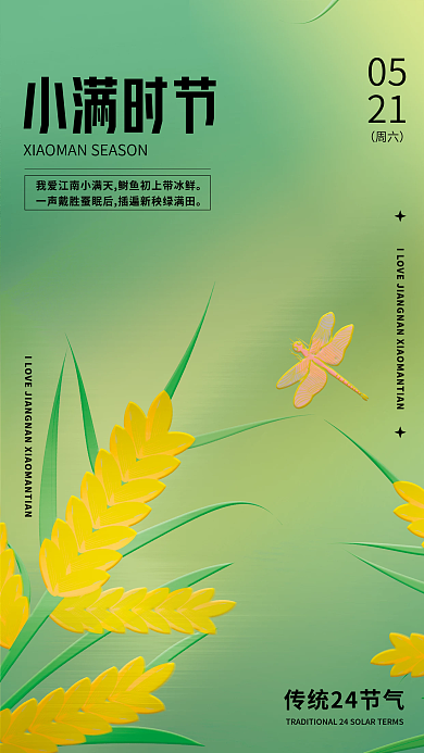 清新小满小满时节05节日海报