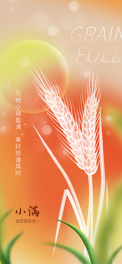 小满节气弥散渐变稻谷企业开屏海报