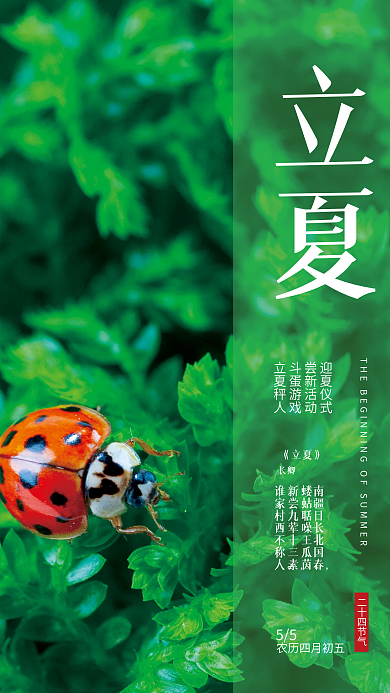 立夏二十四节气节日海报