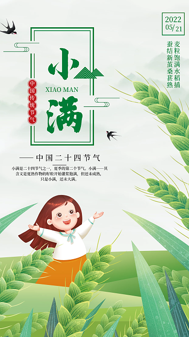 传统节气小满但还未成熟海报