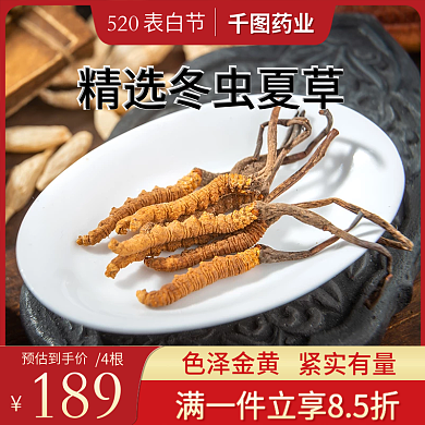 冬虫夏草保健品表白节520主图