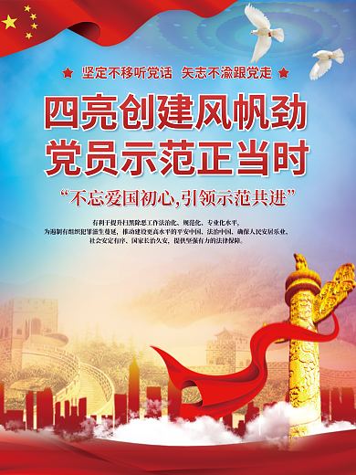 四亮规范化专业化水平活动宣传海报