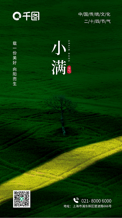 小满中国传统节日二十四节气地产海报