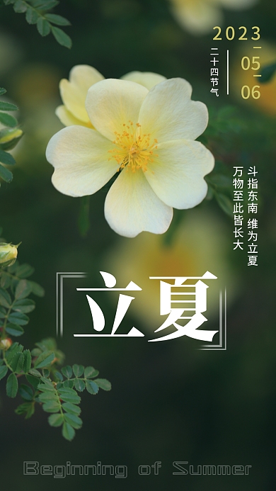 二十四节气立夏立夏2023海报
