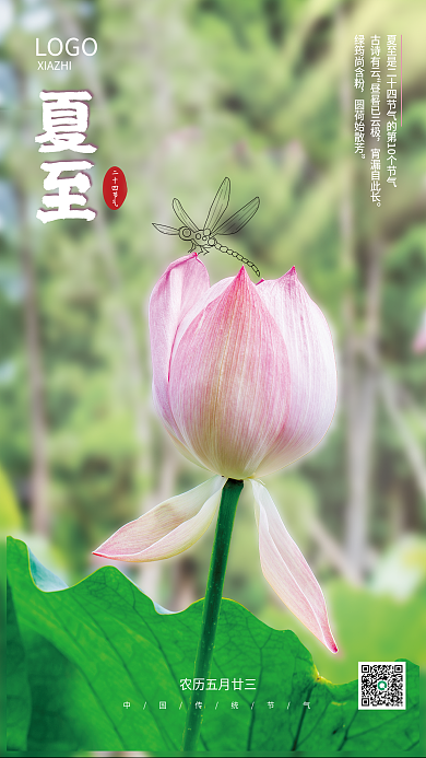 荷花夏至二十四节气夏至节气海报