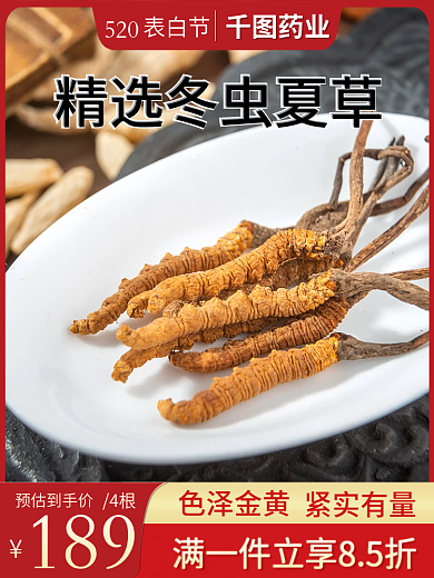 冬虫夏草保健品表白节520主图